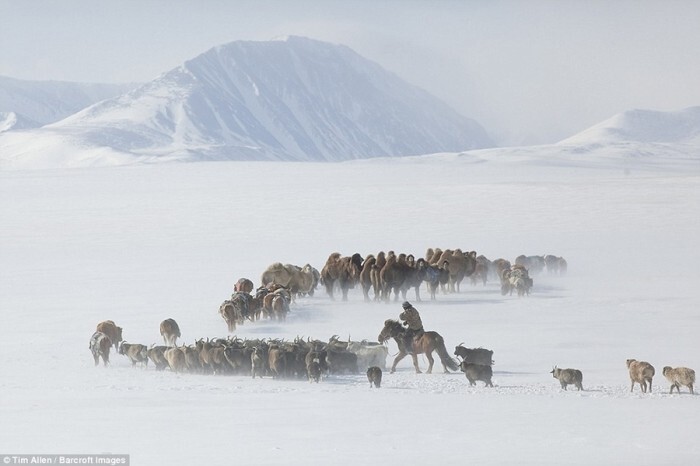 На 98% территории Монголии никто не живет