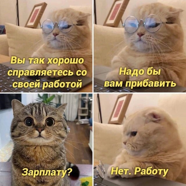 Скрины из соцсетей 