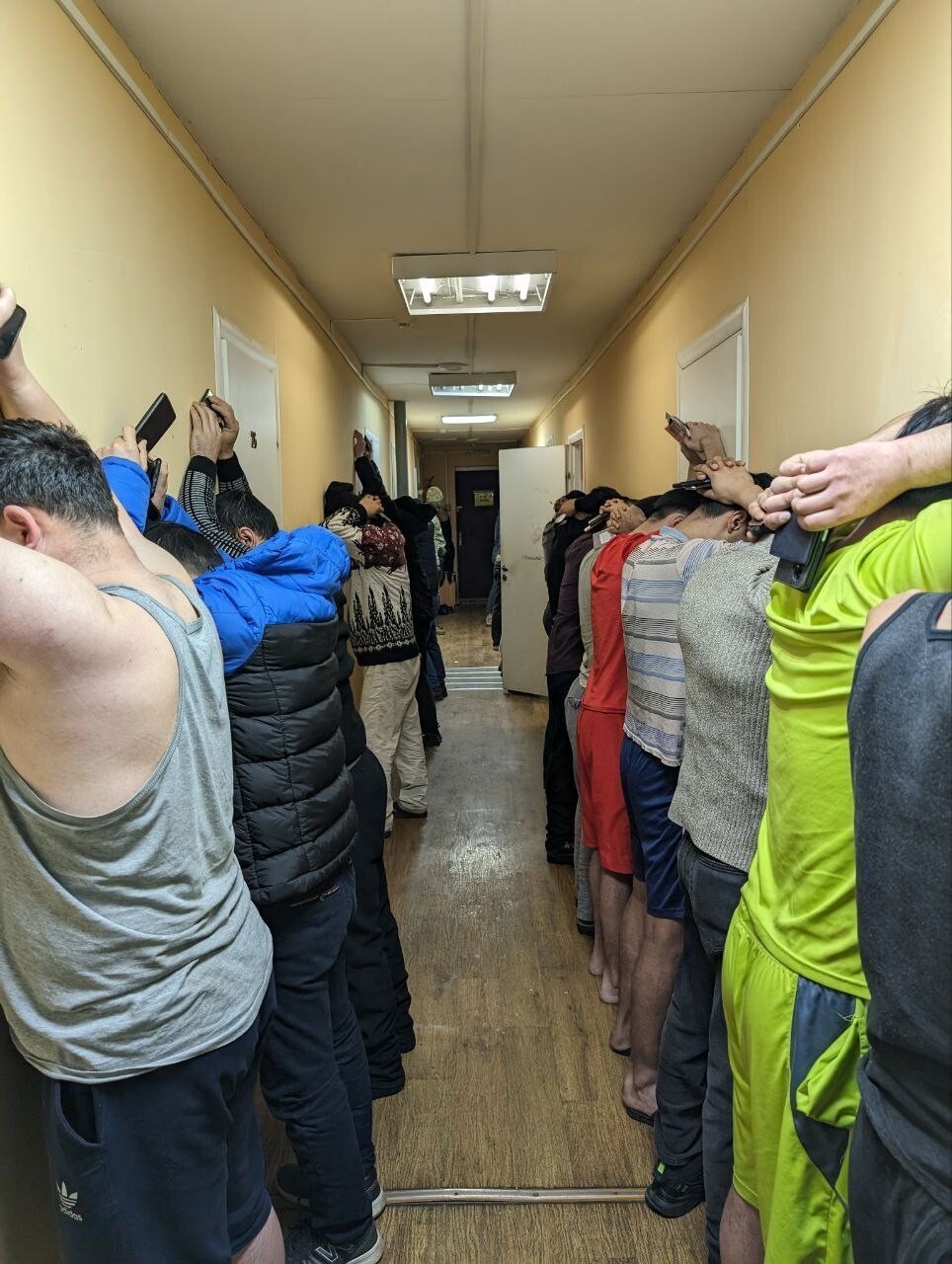 "А черепаху-то за что?": в Нижнем Новгороде силовики задержали мигрантов-извращенцев