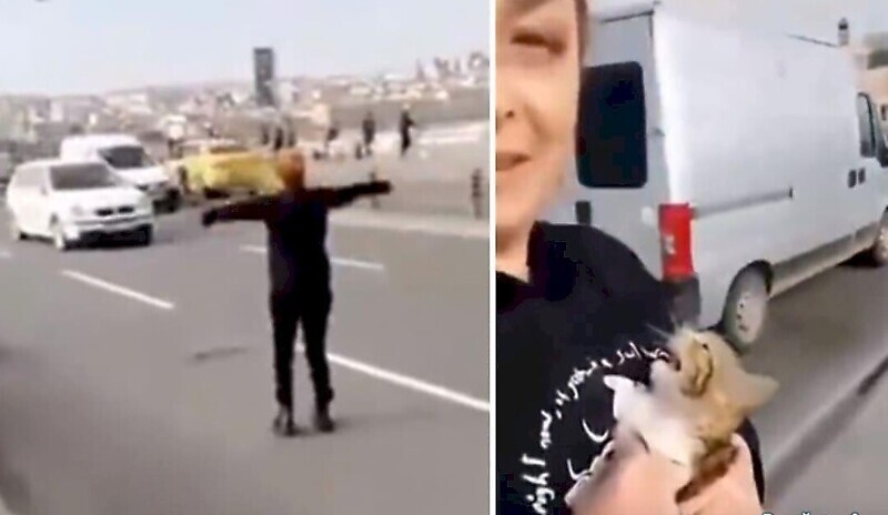 Женщина, рискуя жизнью, остановила движение транспорта и спасла котёнка
