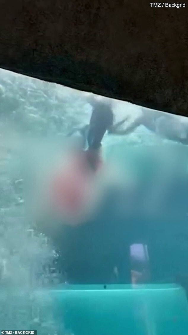 10-летний мальчик пострадал во время погружения к акулам
