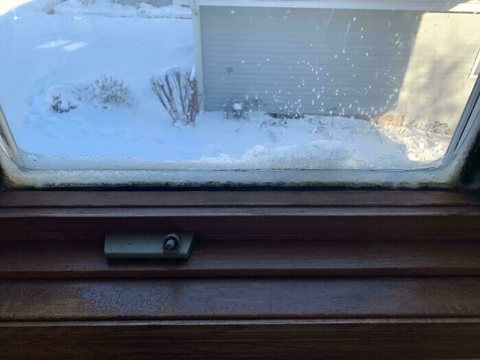 20. "У нас так холодно, что моё окно заледенело изнутри"