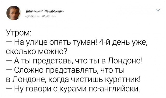 Истории из жизни