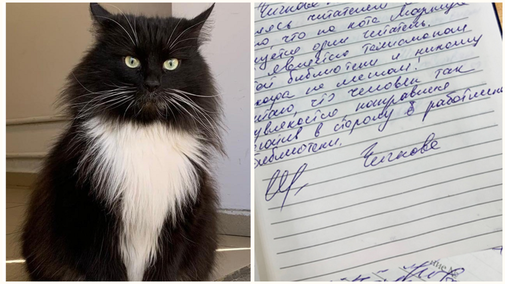 Из московской библиотеки после жалобы посетителя «уволили» кота Маркиза, который жил там 8 лет