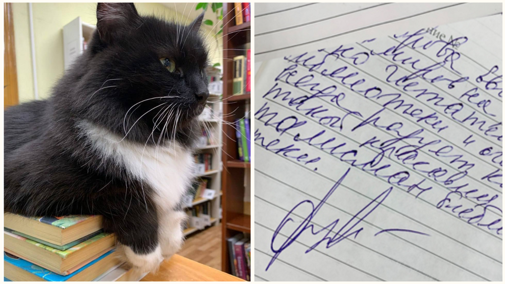 Из московской библиотеки после жалобы посетителя «уволили» кота Маркиза, который жил там 8 лет