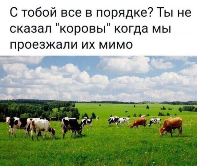 Скрины из соцсетей 