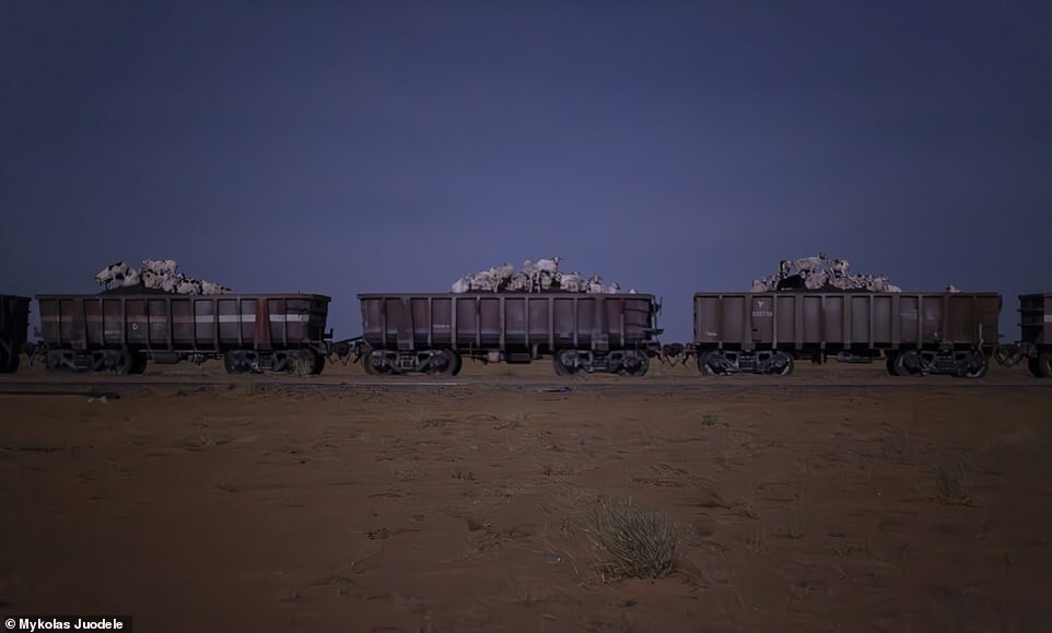 Путешествие по Сахаре на грузовом поезде
