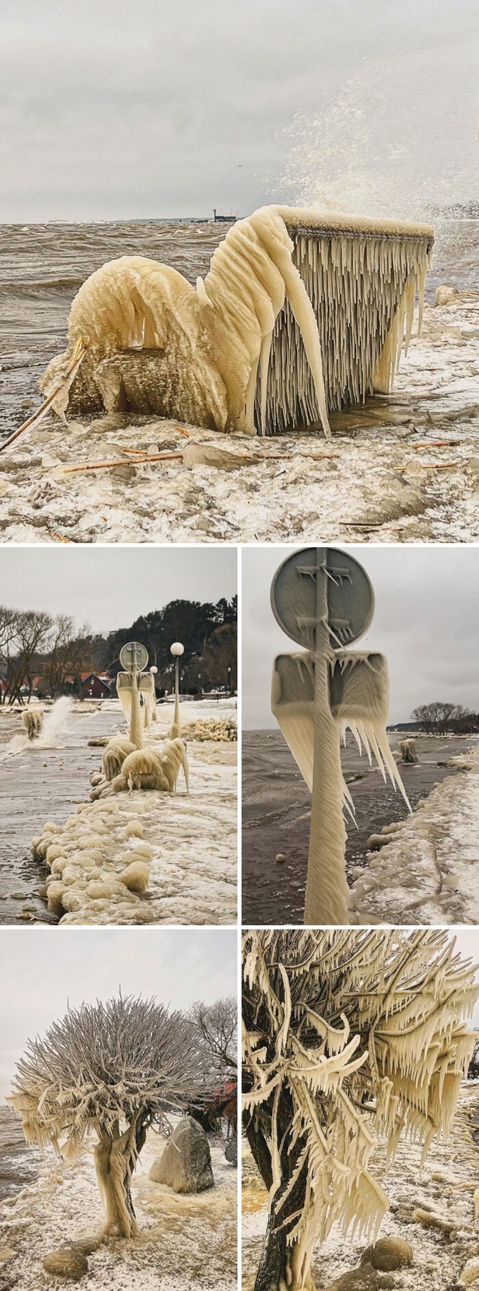 10. Мороз и сильный ветер привели к образованию захватывающих дух ледяных образований в литовском курортном городе Нида