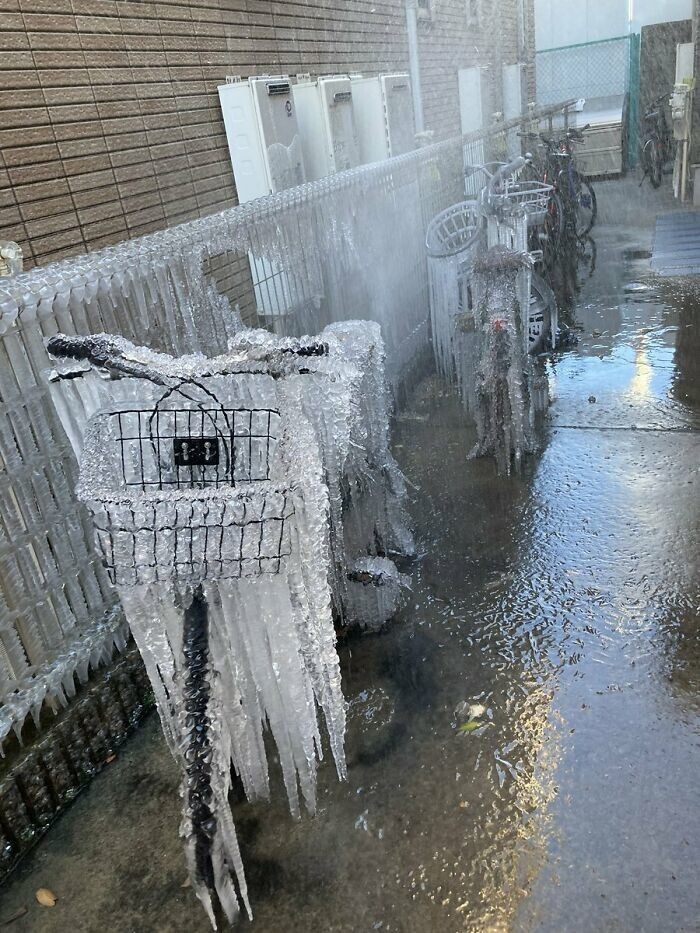 21. Холодная волна непогоды в Японии
