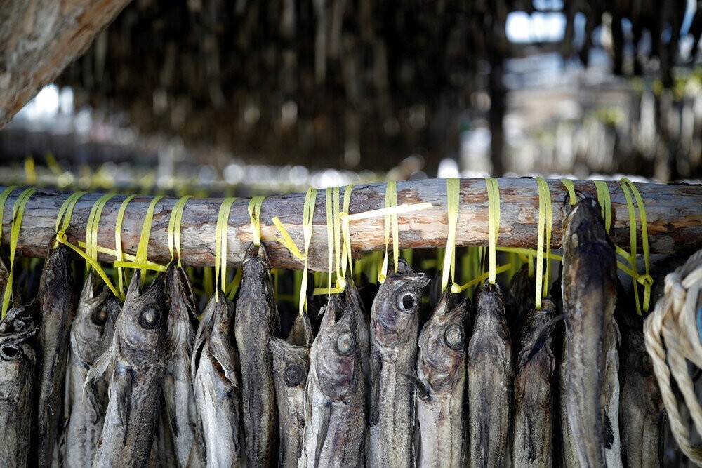 Почему в магазинах в Южной Корее продается много сушёной рыбы