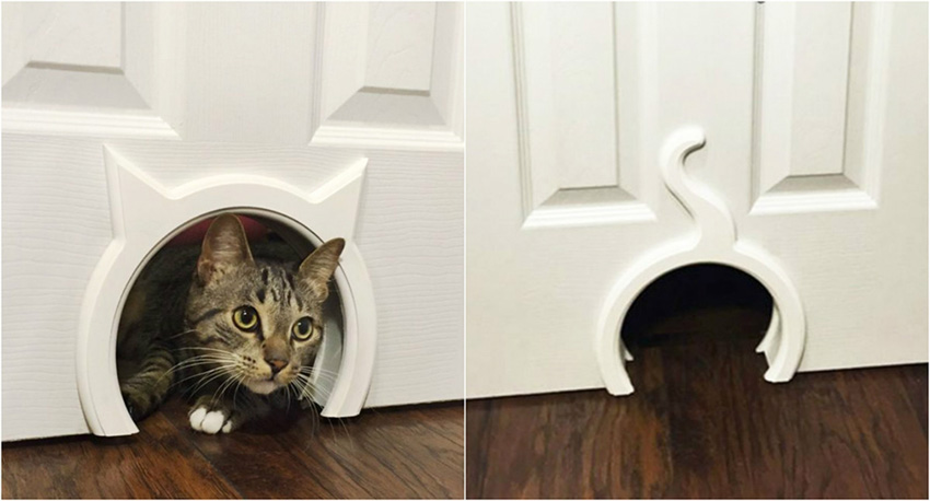 Зачем коты постоянно просят открыть дверь, но не заходят в неё?