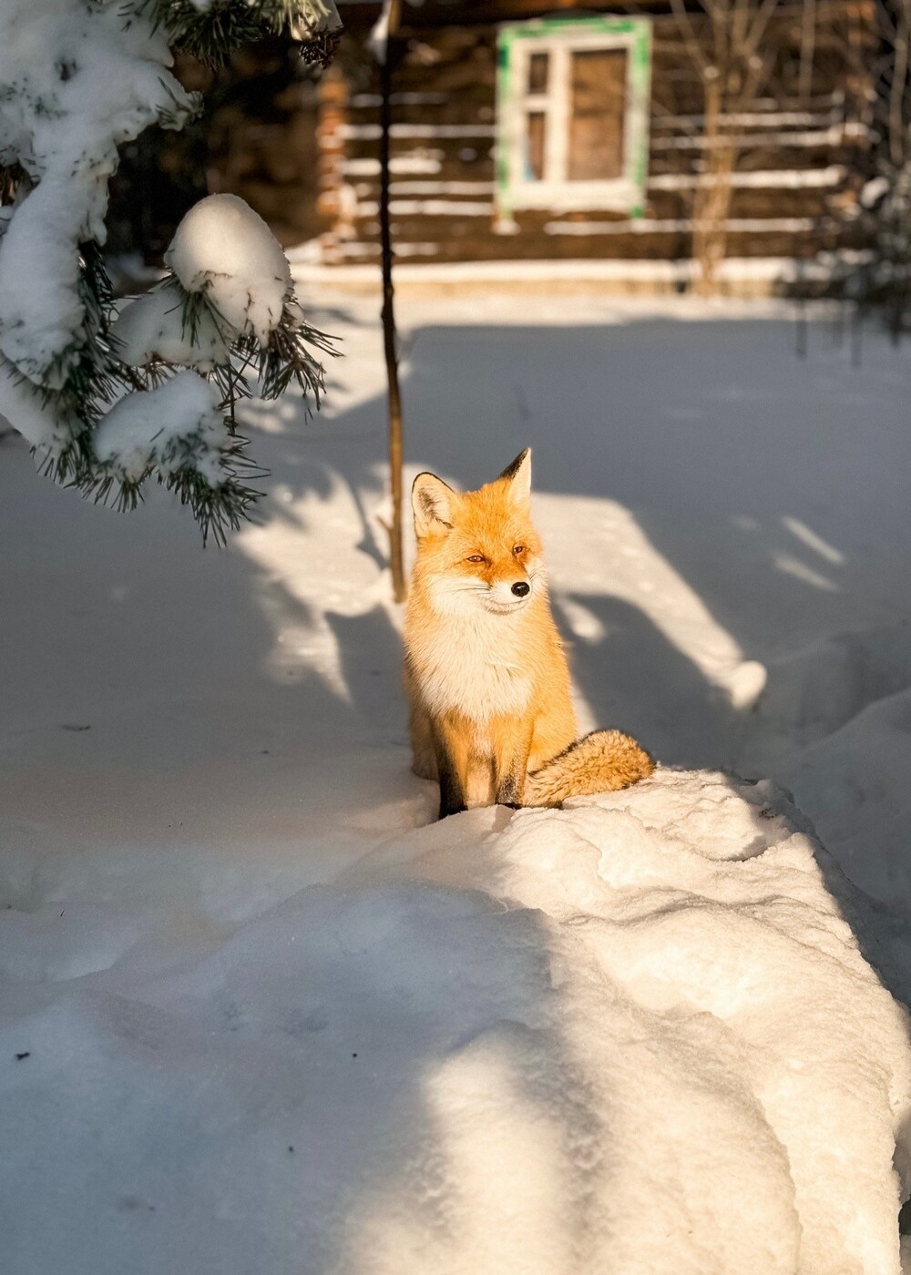 На общую тему  