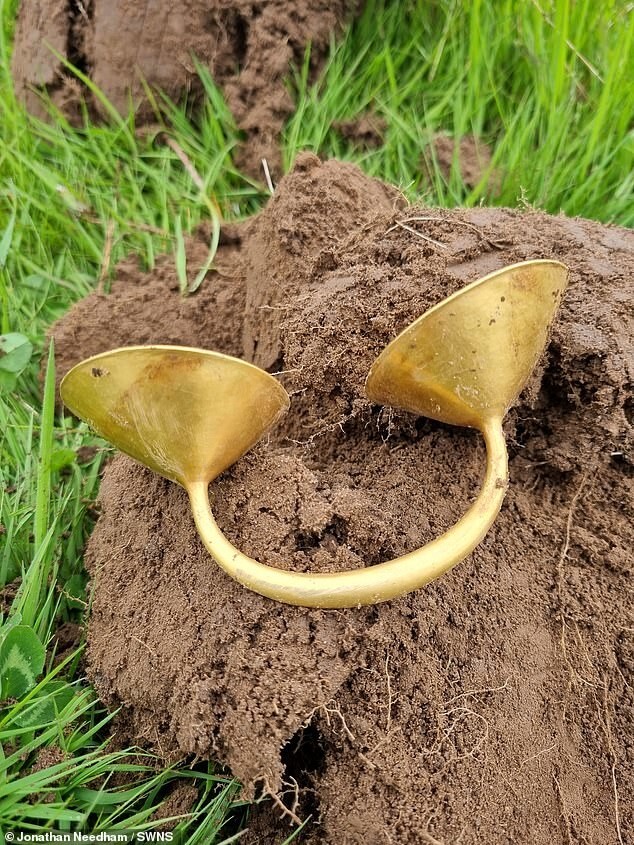 Кладоискатель откопал золотую застёжку возрастом 3000 лет