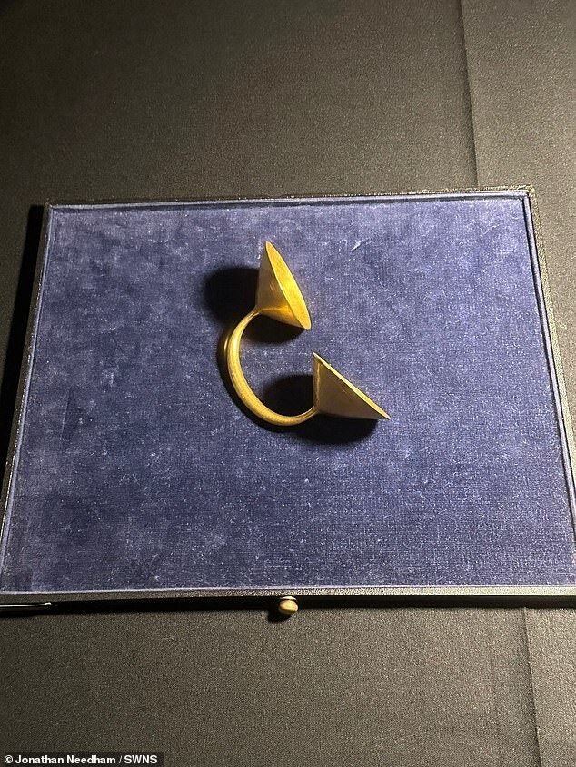 Кладоискатель откопал золотую застёжку возрастом 3000 лет
