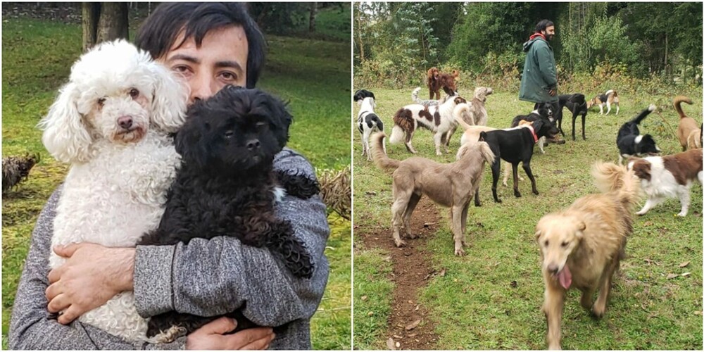 Семья с 30 животными нашла дом благодаря соцсетям