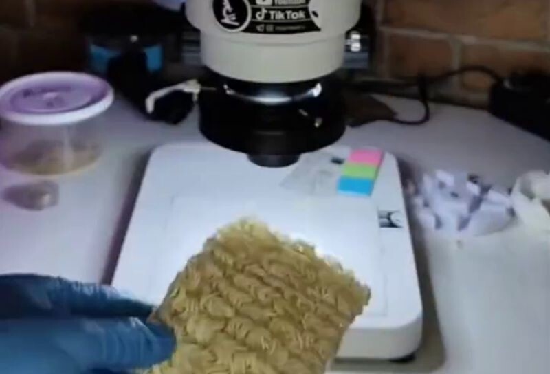 «Дошик» под микроскопом: вряд ли вам захочется его есть