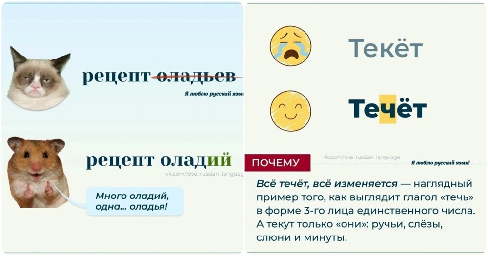 Правила русского языка, в которых многие допускают ошибки