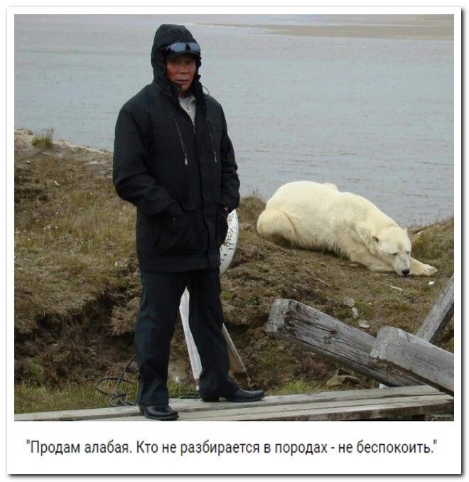 Не ищите здесь смысл. Здесь в основном маразм