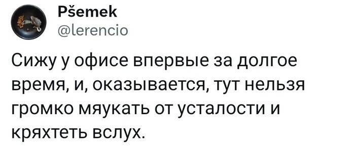 Скрины из соцсетей 