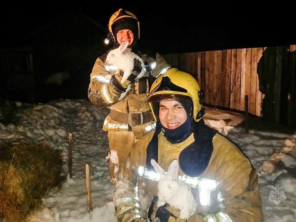 Пожарные спасли восемь кроликов, оказавшихся в огненной ловушке