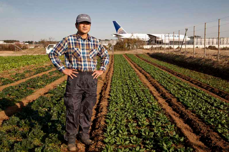 Почему японский фермер живет посреди аэродрома