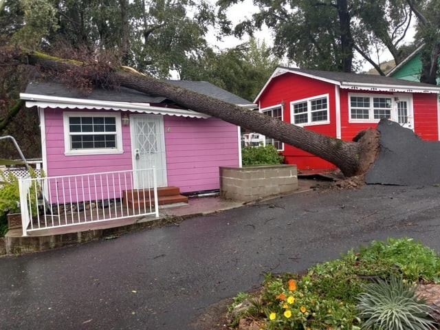 10. Во время урагана дерево упало прямо на дом