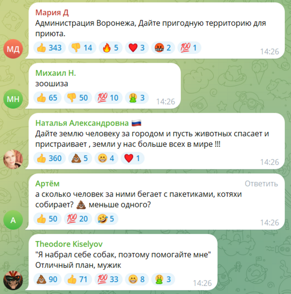 «Раз они едят друг друга, что с людьми могут сделать?»: жители Воронежа пожаловались на мужика, выгуливающего по 50 собак одновременно