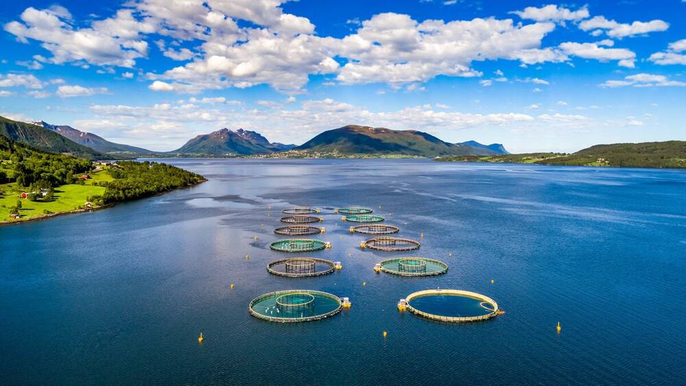 Рыбные фермы в Норвегии могут выглядеть ещё и так. Более живописный вариант