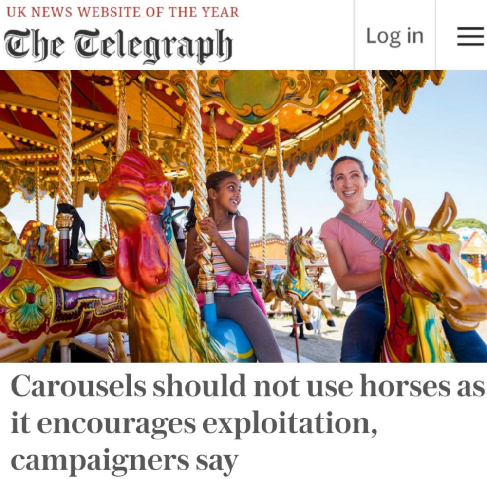 Зоозащитники требуют заменить фигуры лошадей на каруселях