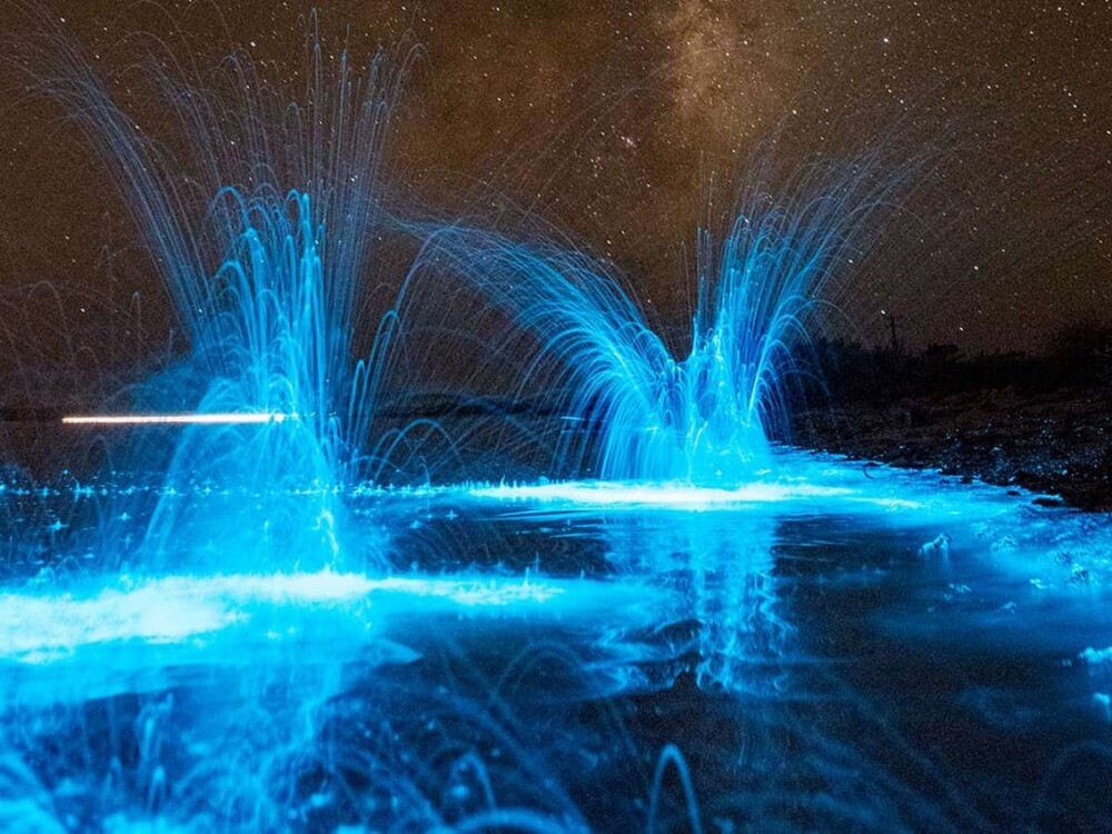 4. Фитопланктон "Морские искорки", noctiluca scintillans, устроили световое шоу в южной Тасмании