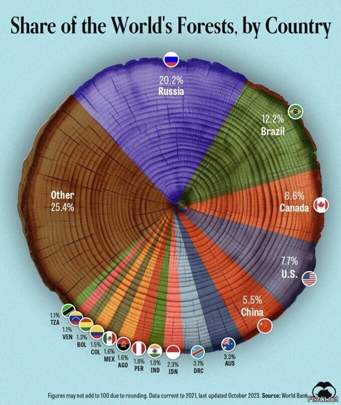 В каких странах находится наибольшая доля всех мировых лесов