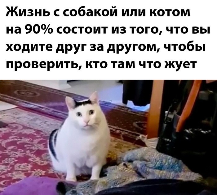 Намешалось