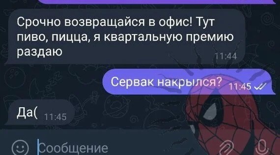 Скрины из соцсетей 