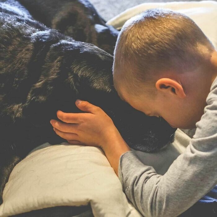 12-летний мальчик спас от смерти уже 5 тысяч собак