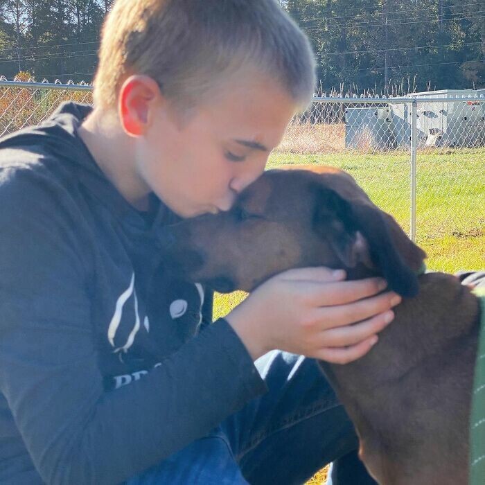 12-летний мальчик спас от смерти уже 5 тысяч собак