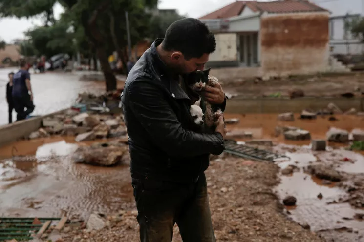 7. Мужчина спасает животных во время наводнения в Греции