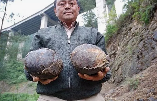 Каждые 30 лет гора в Китае откладывает каменные яйца