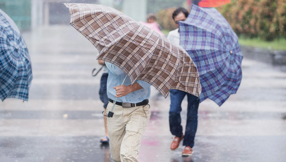 Как китайцы разорили компанию, украв по зонтику