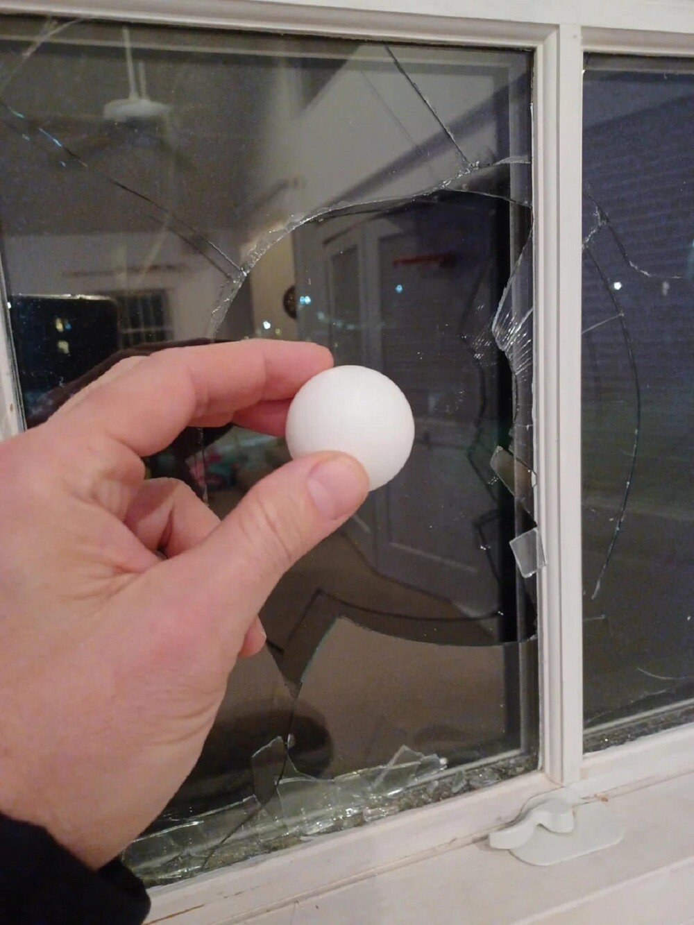 9. "10-летний сын разбил окно, когда играл в пинг-понг"