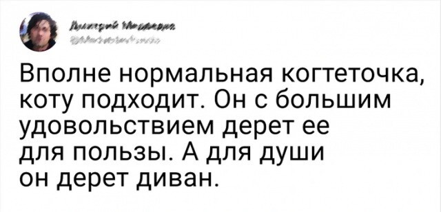 Забавные отзывы