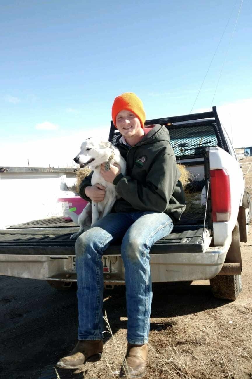 Хозяин нашёл собаку спустя 4 года в 800 км от дома