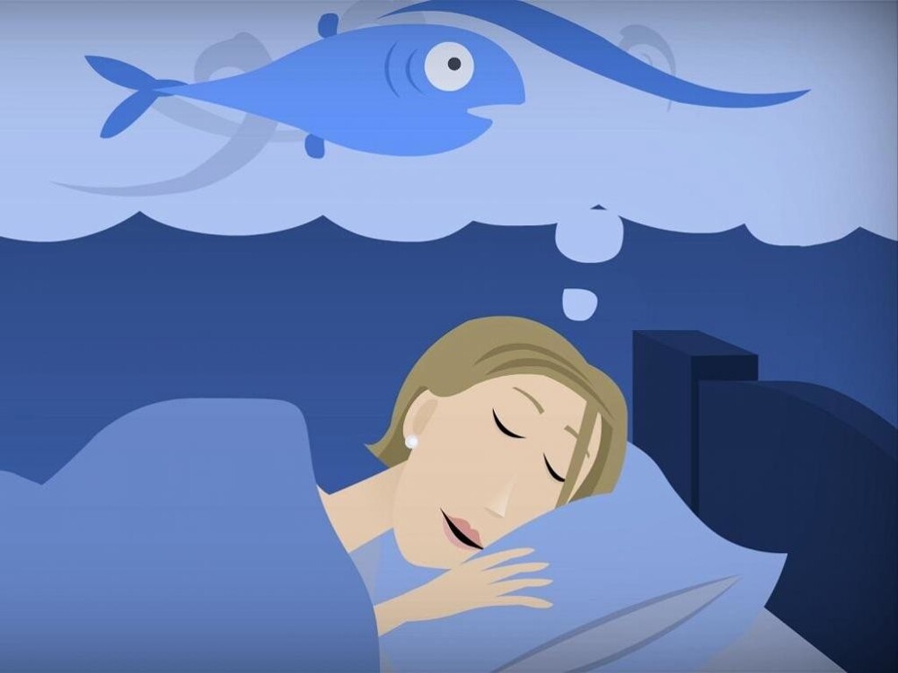 Рыбы во сне: толкование снов с рыбами