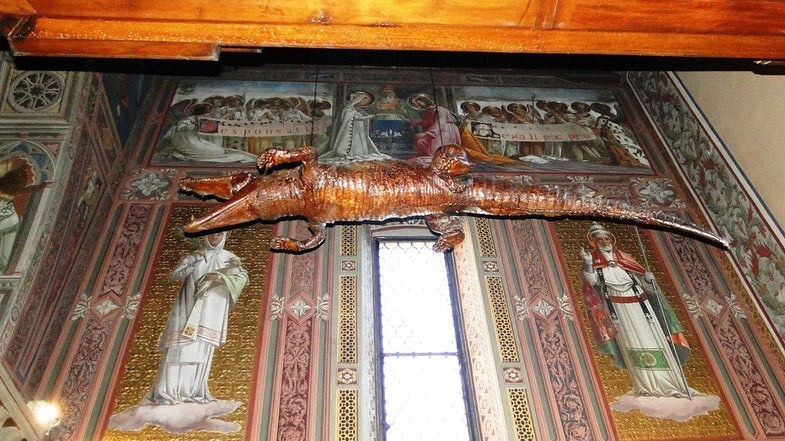 В каких христианских церквях можно увидеть крокодилов. Живых и мертвых!
