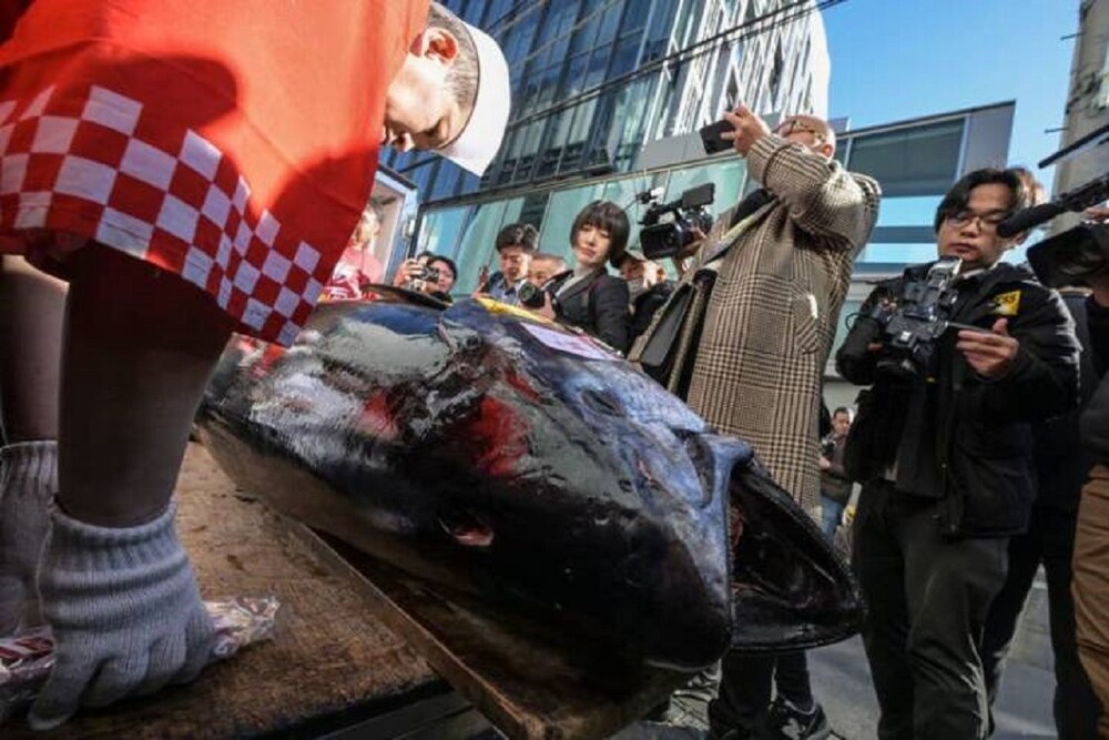 28. В прошлом месяце тунец весом около 230 кг был продан на аукционе в Токио почти за 800000 долларов