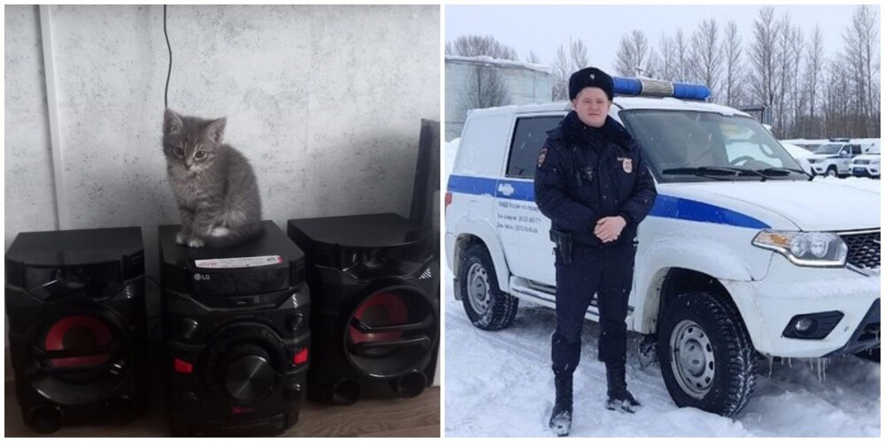 "Опасная коробка": в Кирове полицейские спасли котят, которых выбросили на мороз
