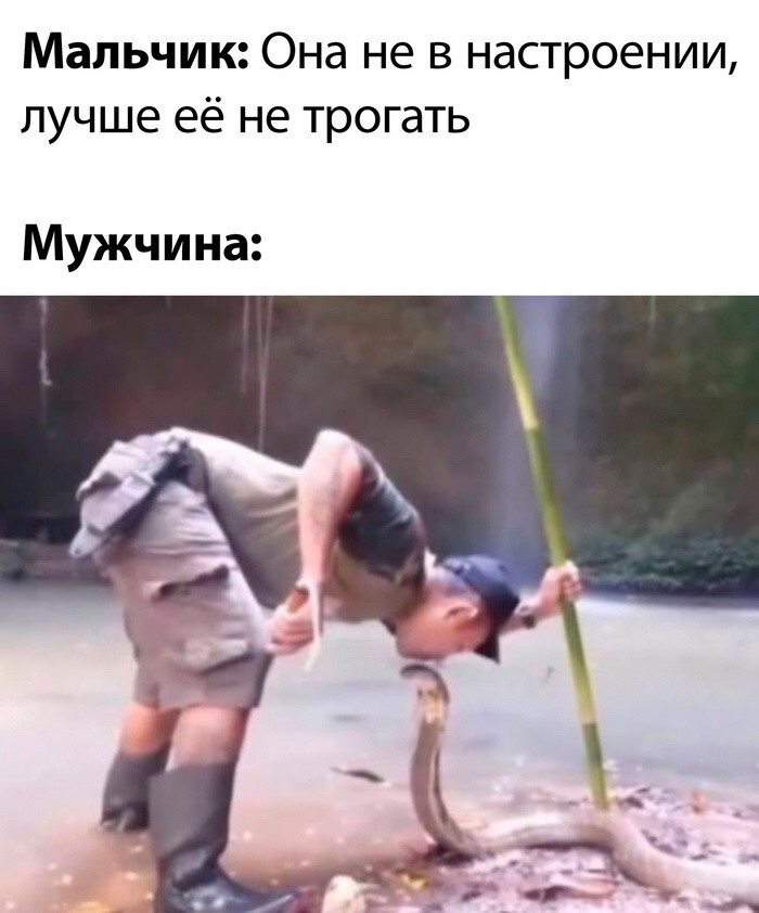 Скрины из соцсетей 