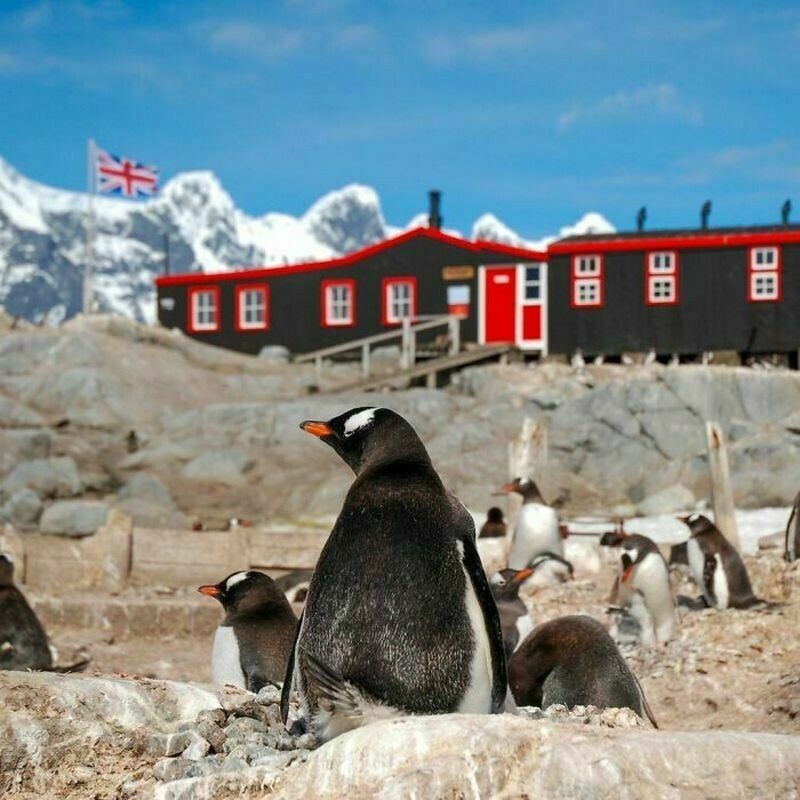 Считать пингвинов и встречать туристов: как работает почта в Антарктиде