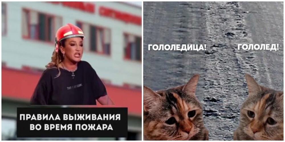 МЧС Беларуси стали публиковать вирусные ролики с Бузовой и котиками
