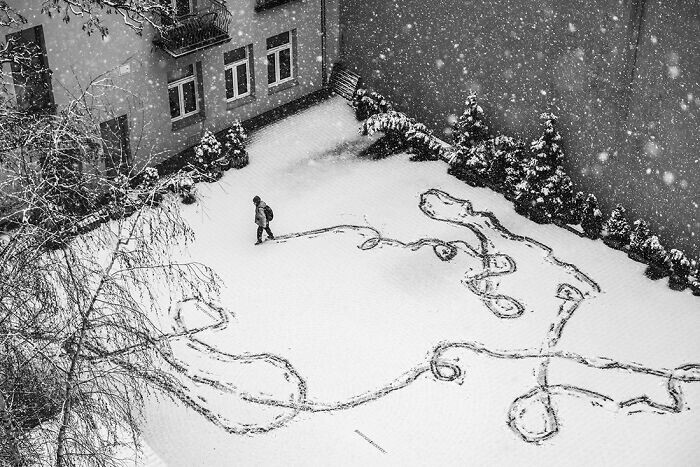 3. "Снегопад", фотограф - Beata Zawrzel, Польша