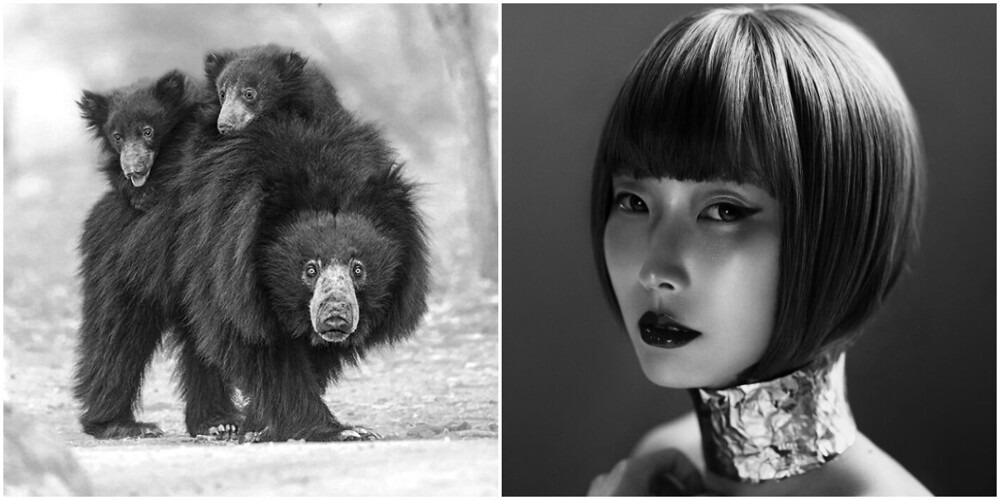 30 удивительных чёрно-белых фото с конкурса Monochrome Photography